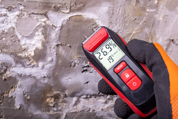Best Commercial Mold Removal  in Factoryville, PA